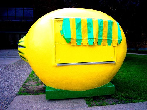 [giant+lemon.jpg]
