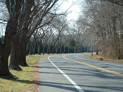 The road to Assateague