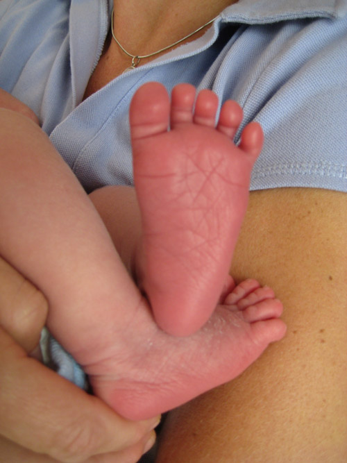 [Baby+toes.jpg]