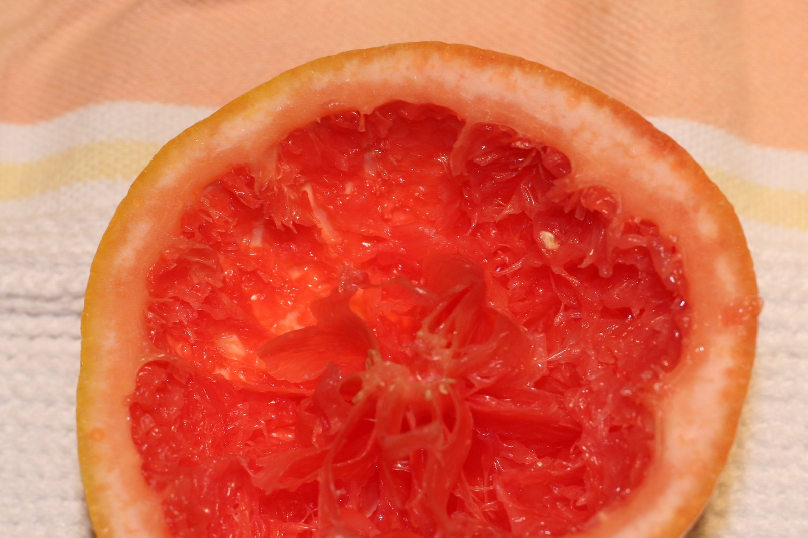 [grapefruit+remnants.JPG]