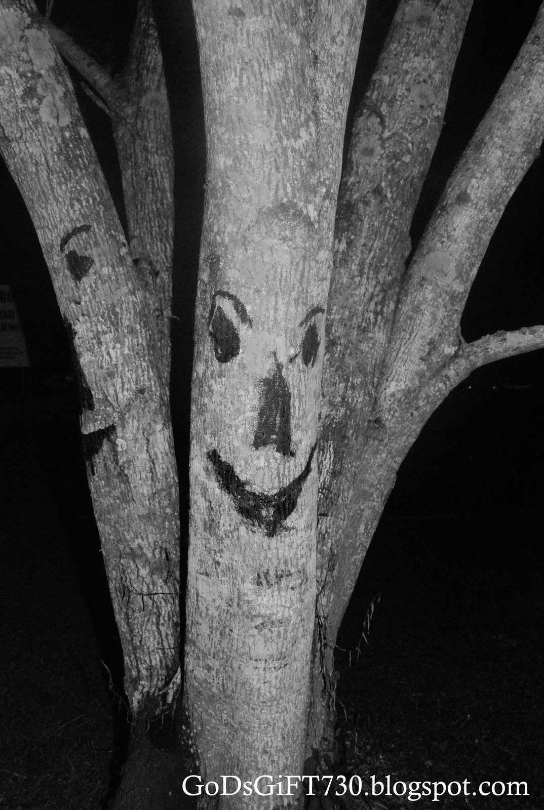 [haunted+tree+bnw.jpg]