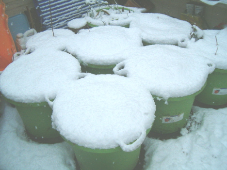 [containers-winter.JPG]