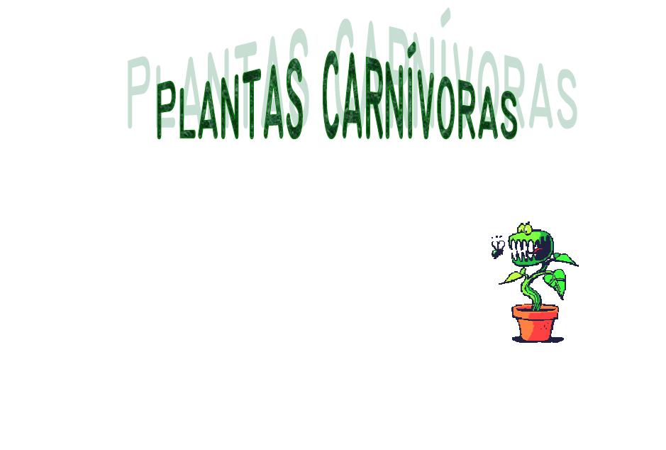 [Plantas+carnivoras.JPG]