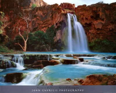 [Havasu+Falls+Grand+Canyon+by+John+Gavrilis.jpg]