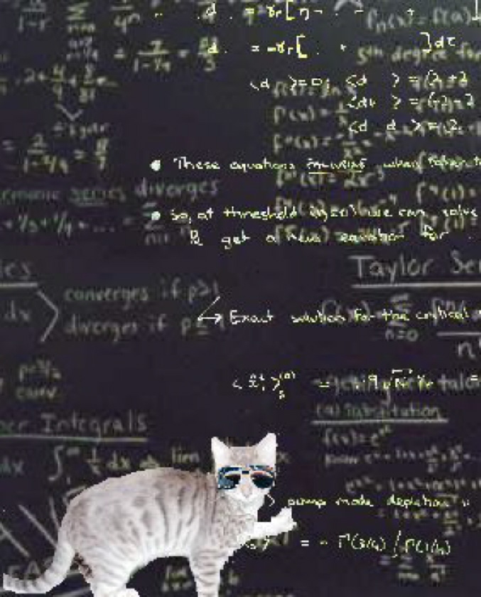 [schrodinger-cat-blackboard.jpg]
