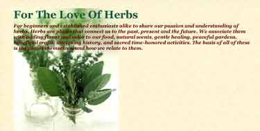 [love-of-herbs.jpg]