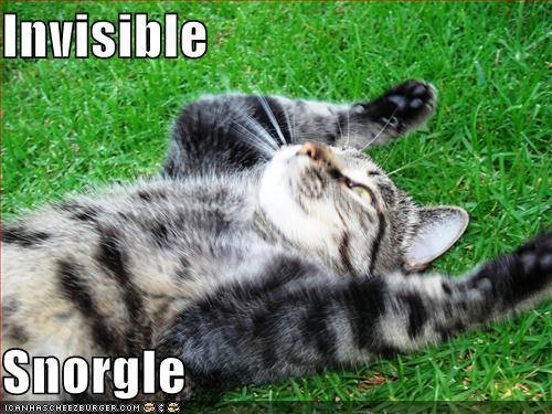 [invisible+snorgle.jpg]