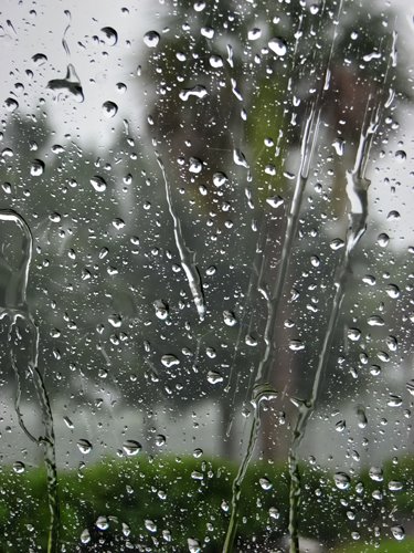 [RainyDay.jpg]