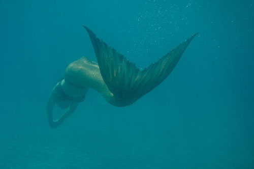 Rikki mermaid