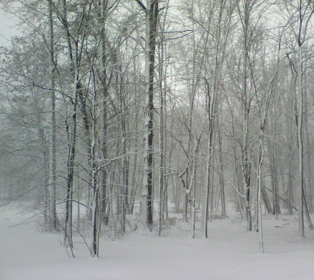 [Snow+Day+07-12-16.jpg]