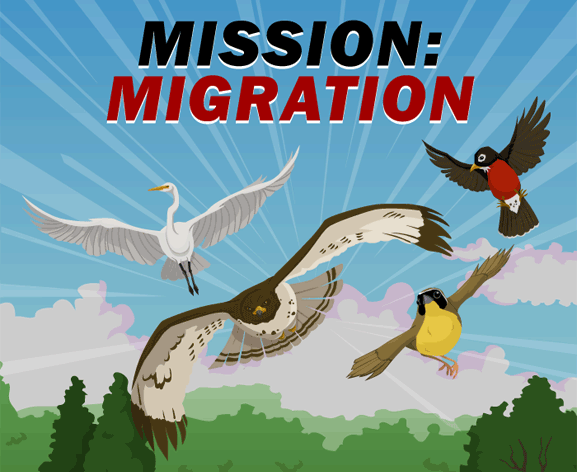 [Mission_Migration_Screen.gif]