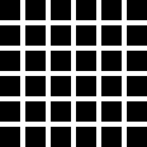 [232px-hermann-grid-illusion.svg-tm.jpg]