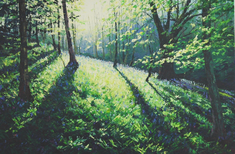 [Bluebell+woods7.JPG]