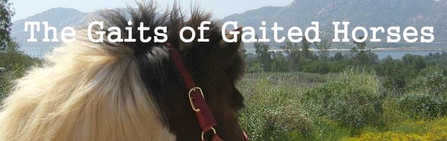 Gaits of Gaited Horses