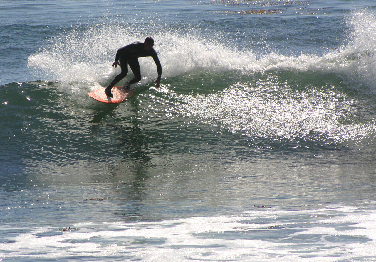 [surfer.jpg]