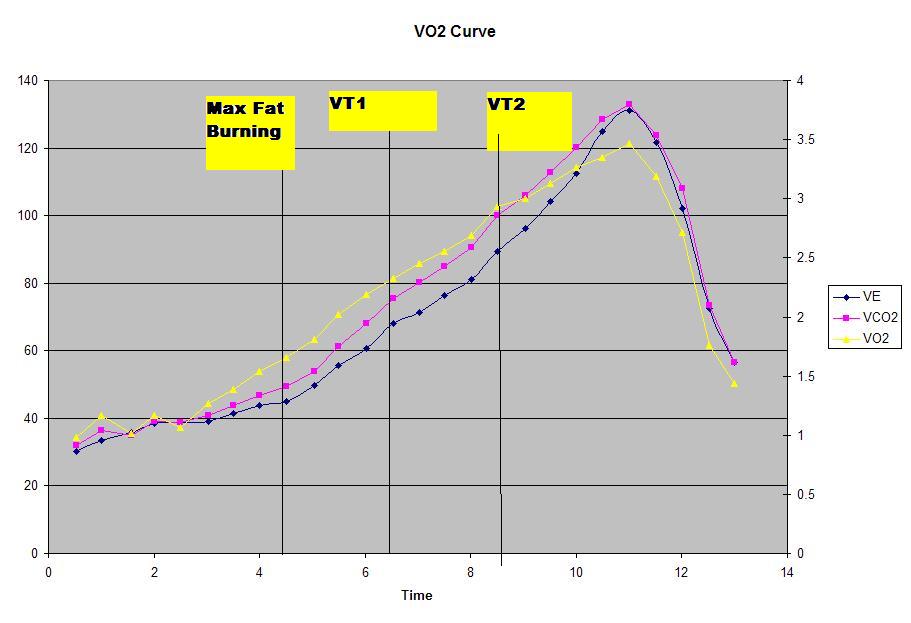 [Mat+VO2+curve.JPG]
