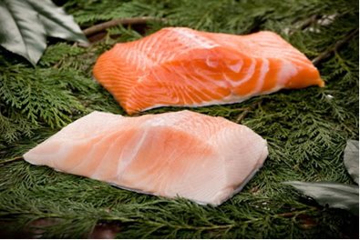 [FISH-marbled_chinook_salmon2.jpg]