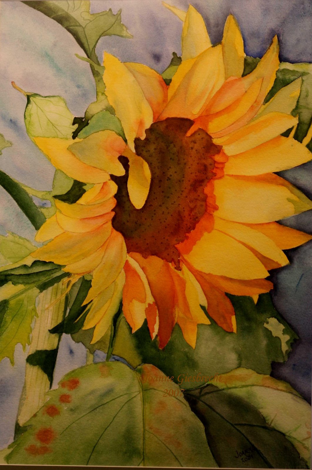 [Sunflower+1.jpg]