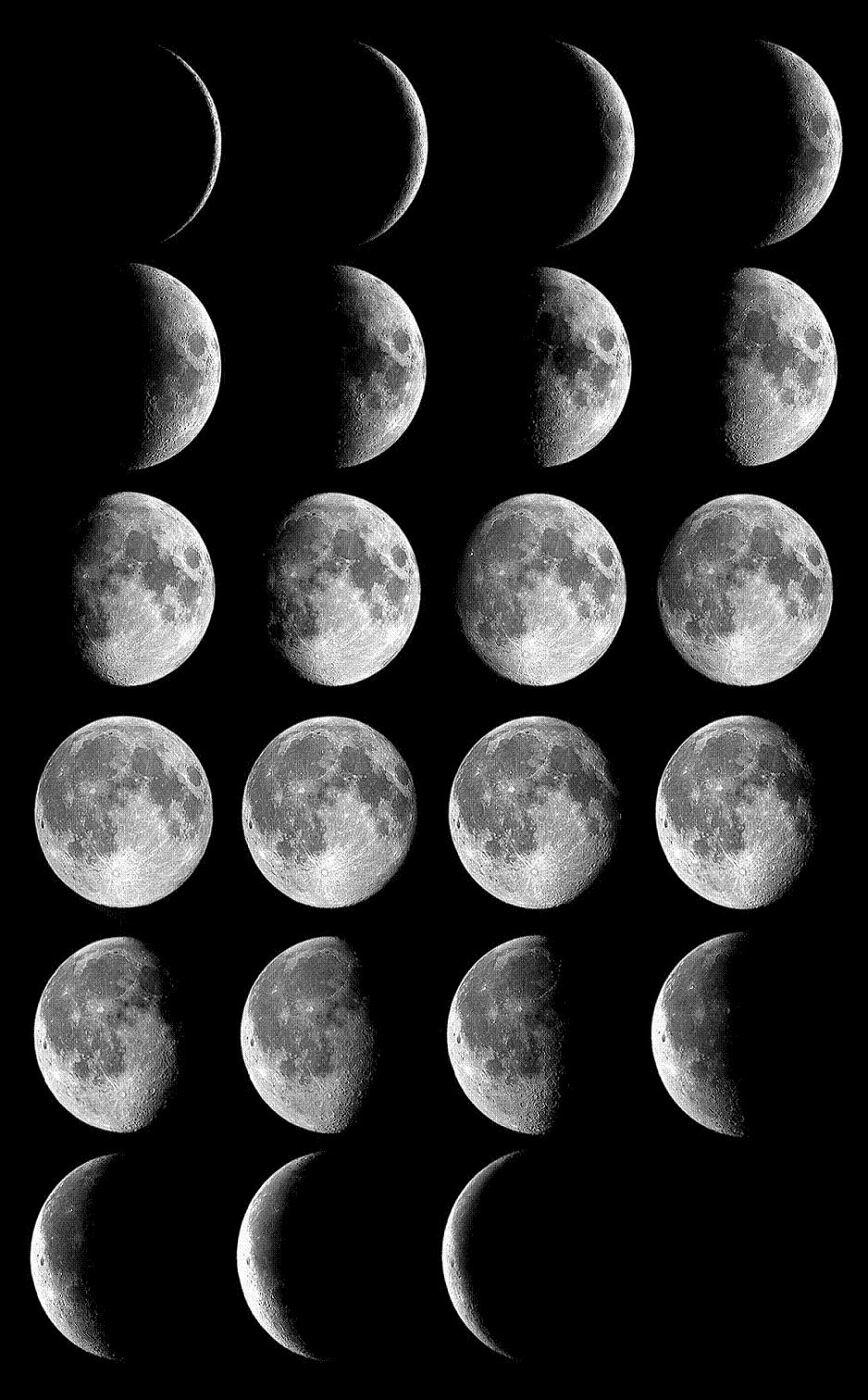[Moon_phases.jpg]