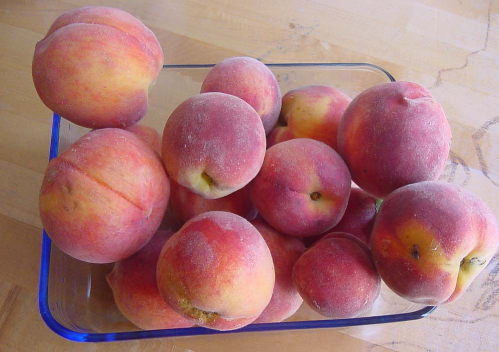 [Peaches.JPG]
