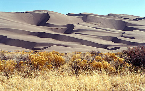 [Michael+Fanelli+Sand+Dunes.jpg]