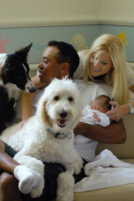 [tiger,+elin+and+dogs.jpg]