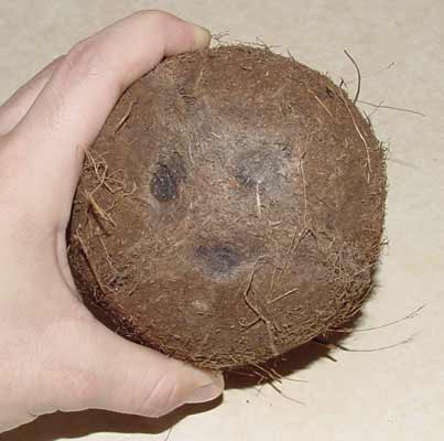 [02-how-to-open-coconuts.jpg]