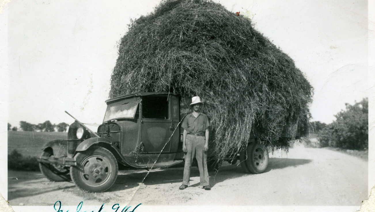 [Making+hay,+July+1946.jpg]