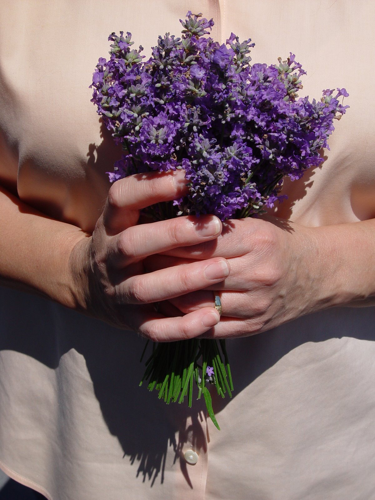 [Lavender+Hands+003.JPG]