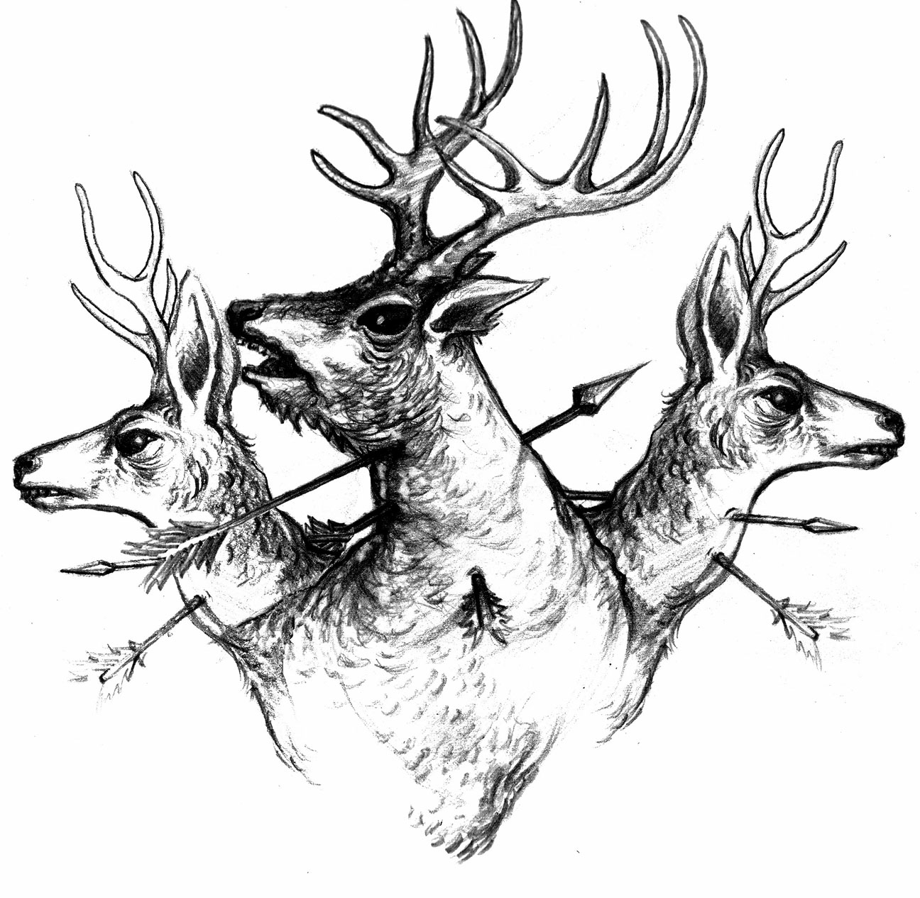 [deer-1.jpg]