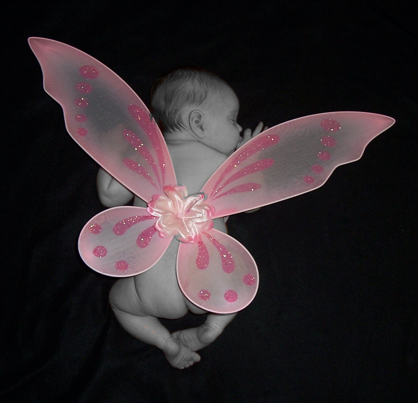 [wings+on+back+natural+pink+wings-B&W+baby.jpg]