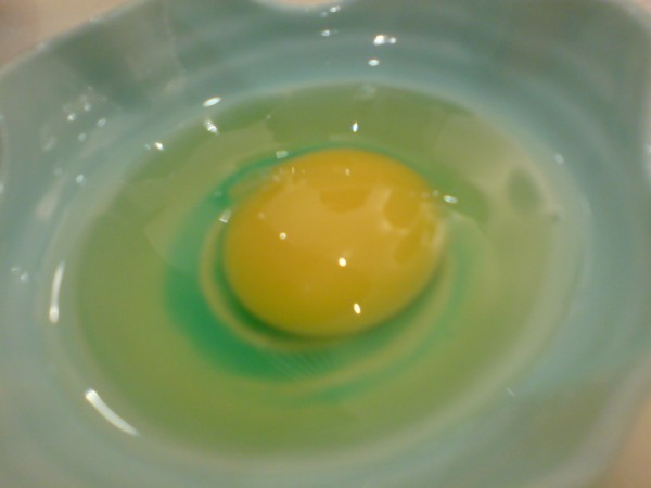 [egg.jpg]