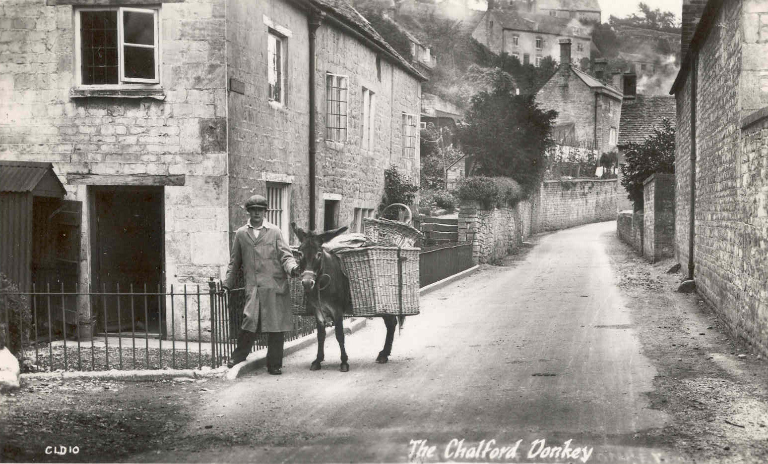 The Chalford donkeys of the past