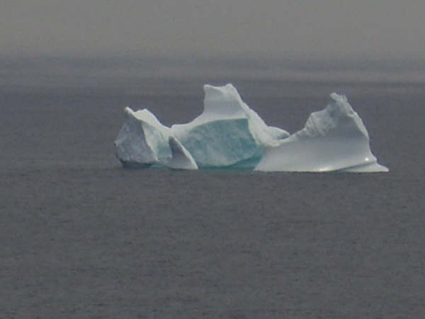 [iceberg.JPG]