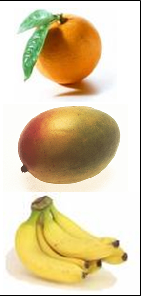 [suc+mango+taronja+platan+1.jpg]