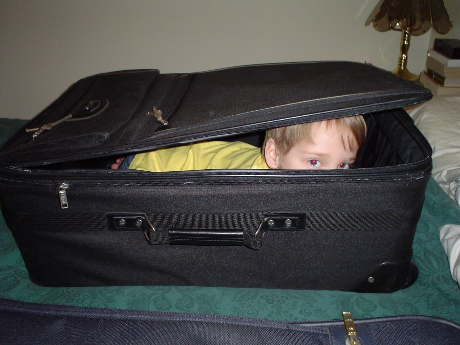 [beren_inside_of_suitcase.JPG]