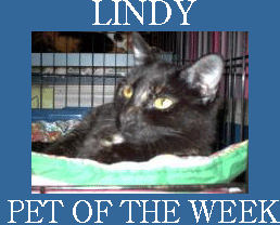 [Lindy+PET+OF+THE+WEEK.gif]