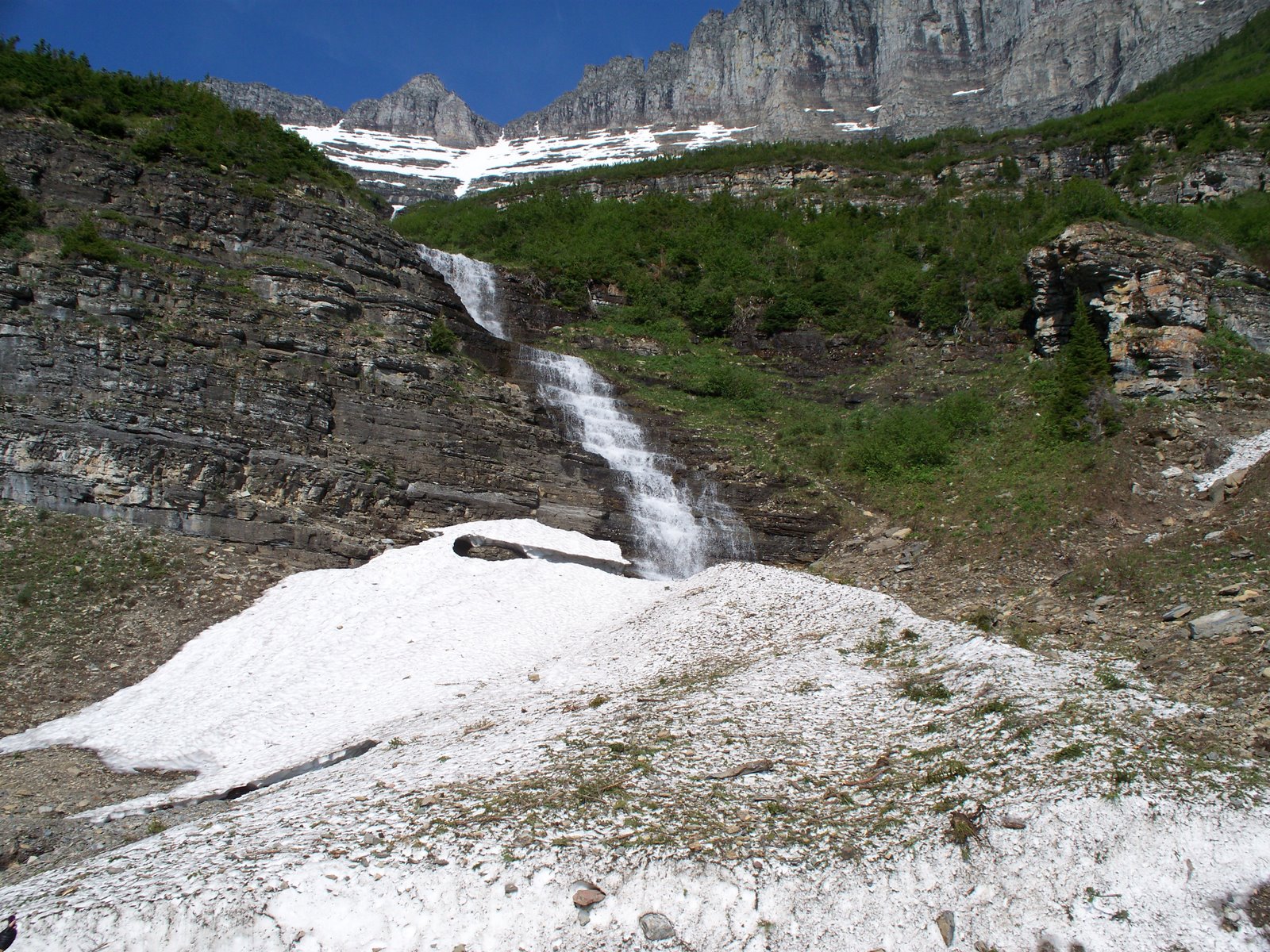 [Glacier+National+Park+2008+090.JPG]