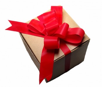 [gift+red+ribbon.jpg]