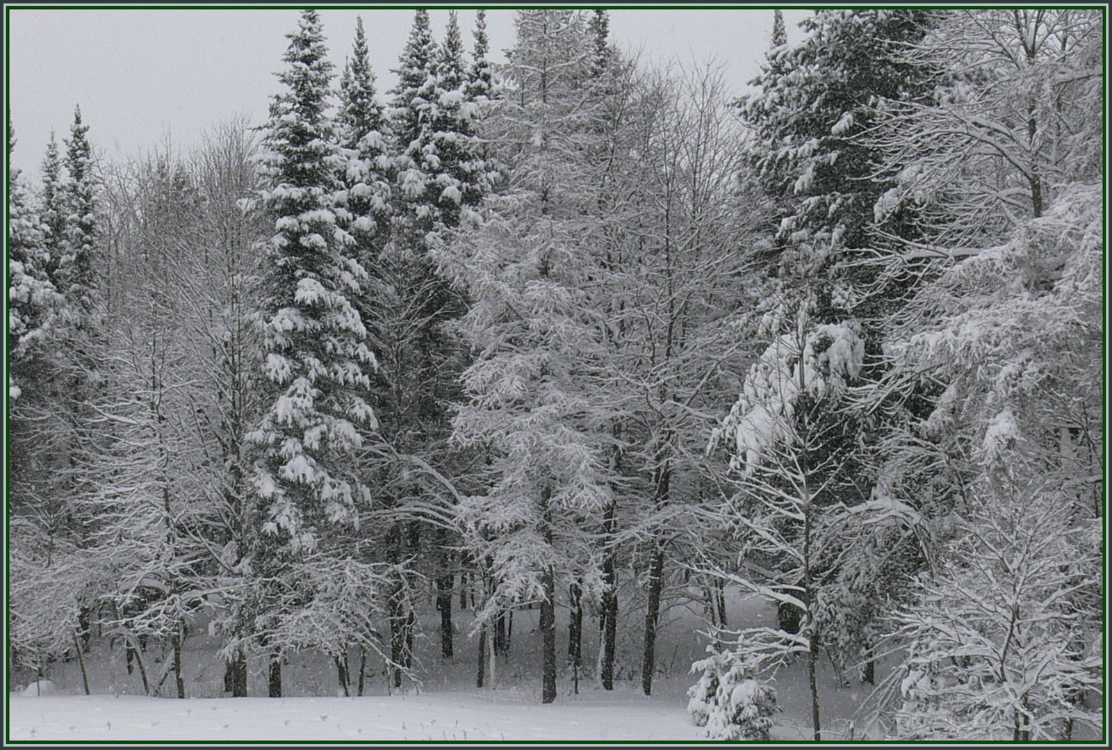 [the+snowy+woods.jpg]