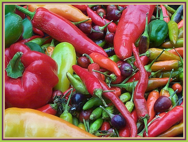 [peppers2.jpg]