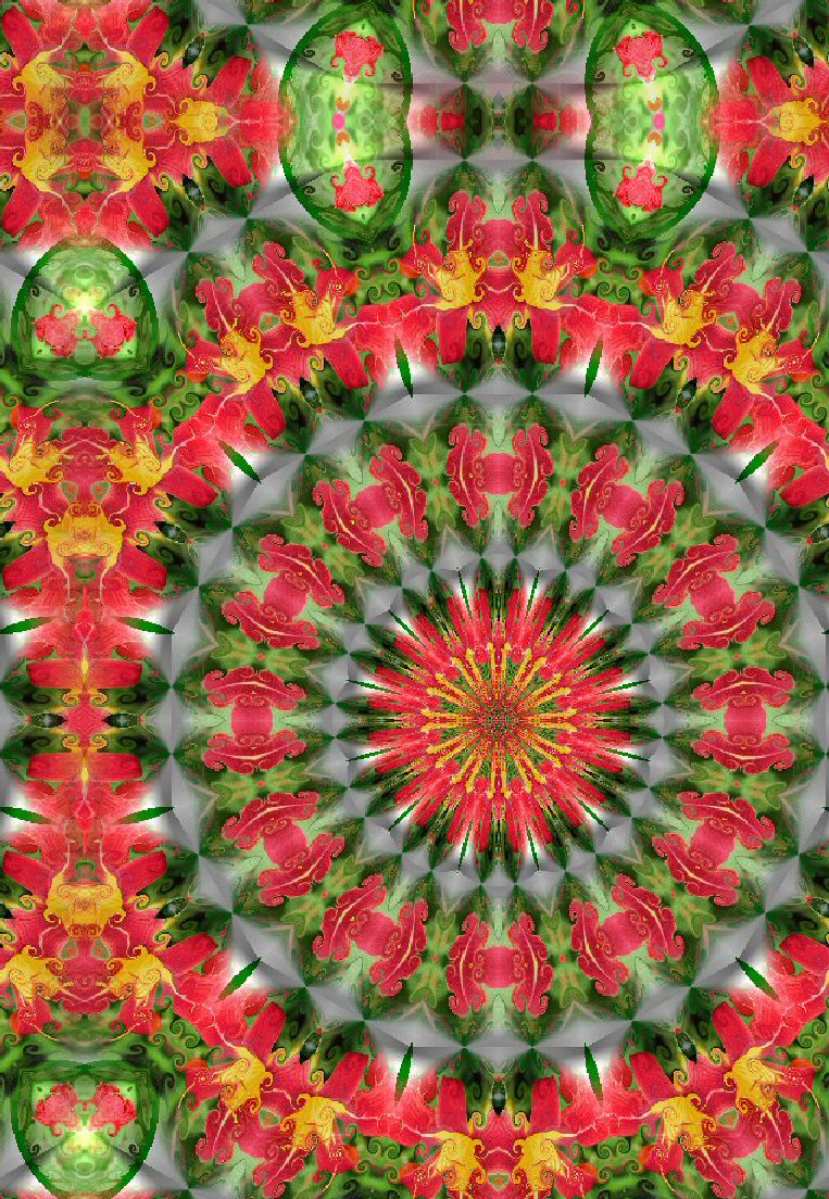 [Rode+bloem+kaleidoscoop+8+rand.jpg]