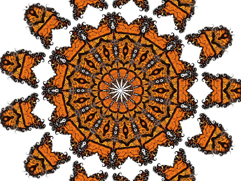 [monarch-butterfly+kaleidoscoop+4.jpg]