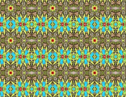 [painted+hummingbird+kaleidoscoop+7+rand+patroon.jpg]