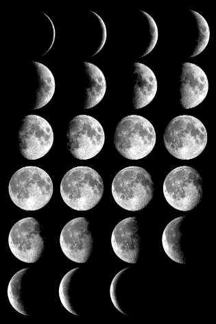 [Moon_phases_small.jpg]