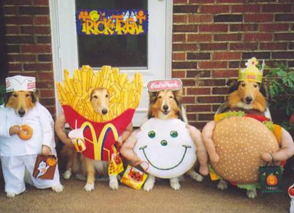 [funny-pets-halloween-costumes-dogs-dressed-up-in-fast-food-outfits.jpg]