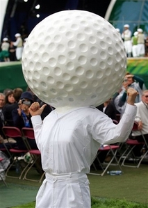 [golfball-head.jpg]