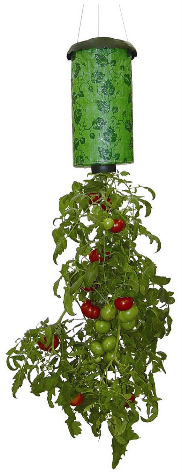 [Topsy+Turvy+Tomato+Planter[1].jpg]