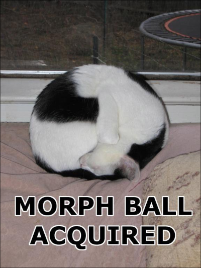 [morph-ball-cat.png]