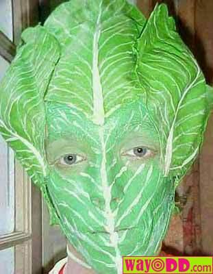 [funny-pictures-the-lettuce-dork-1NV.jpg]